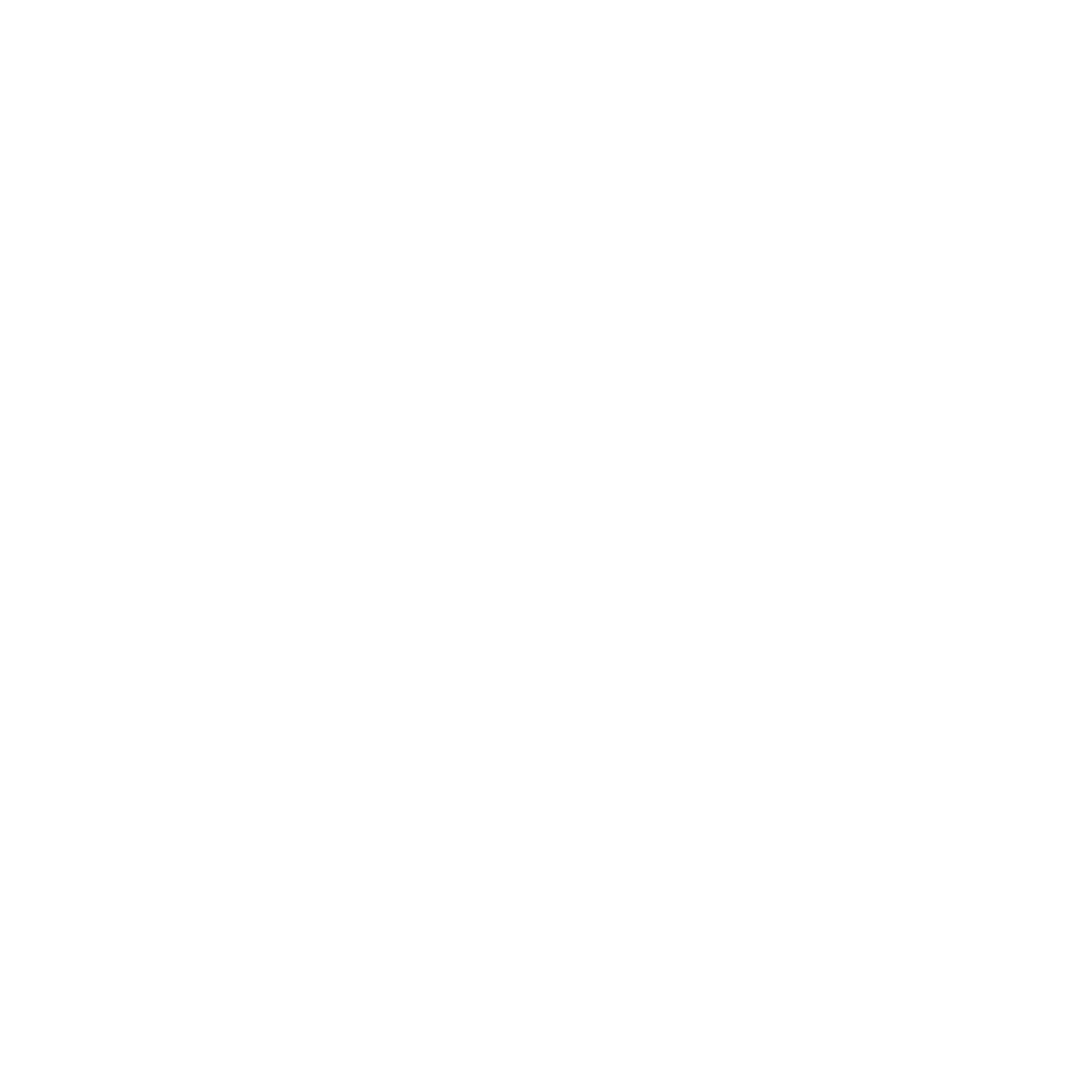 SSWT Logo